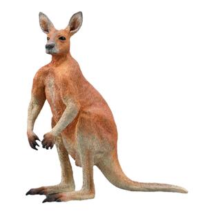 顺丰包邮【88921红袋鼠】CollectA官方授权正版动物模型早教玩具