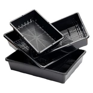 塑料多肉育苗盘小号耐用加厚叶插盆播种器育苗托盘闷养盆可选带盖