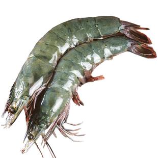 青岛大虾鲜活新鲜冷冻海鲜单只冻虾超大整箱海虾青虾对虾基围虾