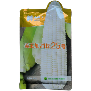 美兰美玉加甜糯25号玉米种籽鲜食口感甜糯白玉米种子原装200克