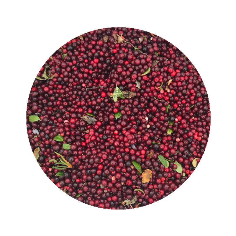 红豆无添加野生蔓越莓1500g包邮
