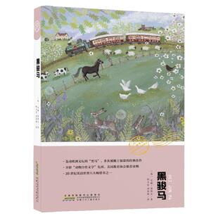 黑骏马中文版你好神奇动物世界生态文学经典丛书三四五六年级小学生课外书籍名著阅读畅销书 睡前故事书安娜·塞维 著动物自传