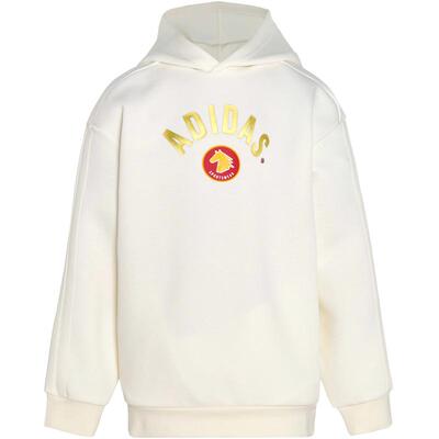 阿迪达斯春秋新年款儿童连帽卫衣