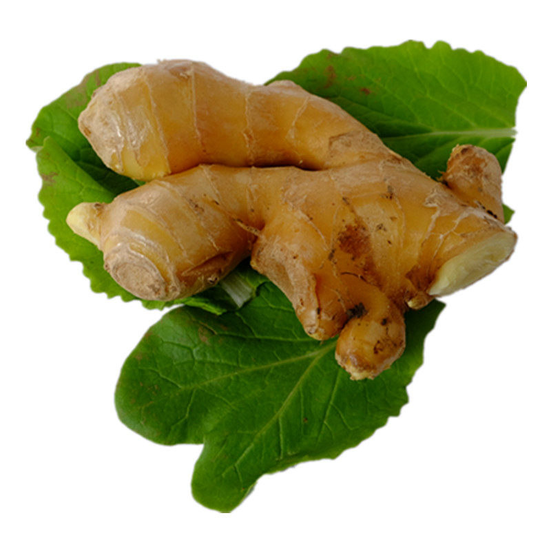 新鲜北京味浓炒菜食用生姜半斤