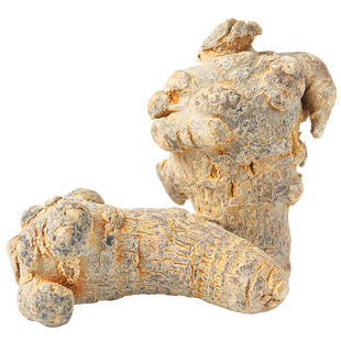 三七正品文山特级三七花泡茶喝 田七中药材三七粉正品官方旗舰店