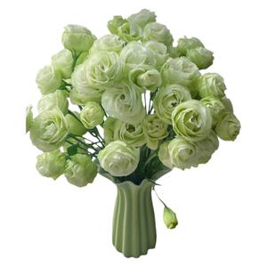 绿色洋桔梗鲜花插花重瓣混色云南直发直批家用切花瓶花材顺丰包邮