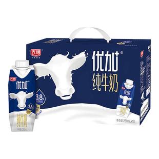 10月光明优加3.8蛋白梦幻盖纯牛奶250ml*10盒单箱/两箱装年货礼
