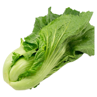 东升农场 东升芥菜 水通芥菜 广州蔬菜 300g