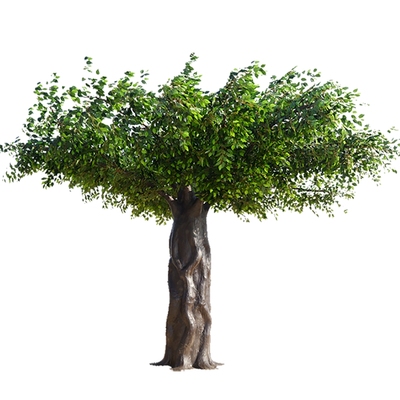假树榕树造景植物落地包柱子
