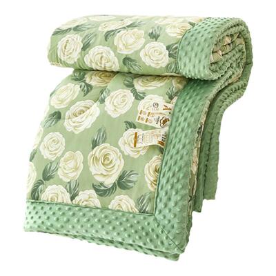 2026新款冬季可机洗安抚豆豆被可机洗一体成人儿童品牌空调被被芯