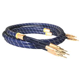 Winner/天逸SC-6金环蛇发烧喇叭线单晶铜HiFi香蕉头纯铜音箱线