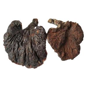 瑶家阿甘广西纯天然野生灵芝