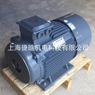 油压马达 油泵电机组25SCY 内插式 7.5KW三相异步电机 Y132M