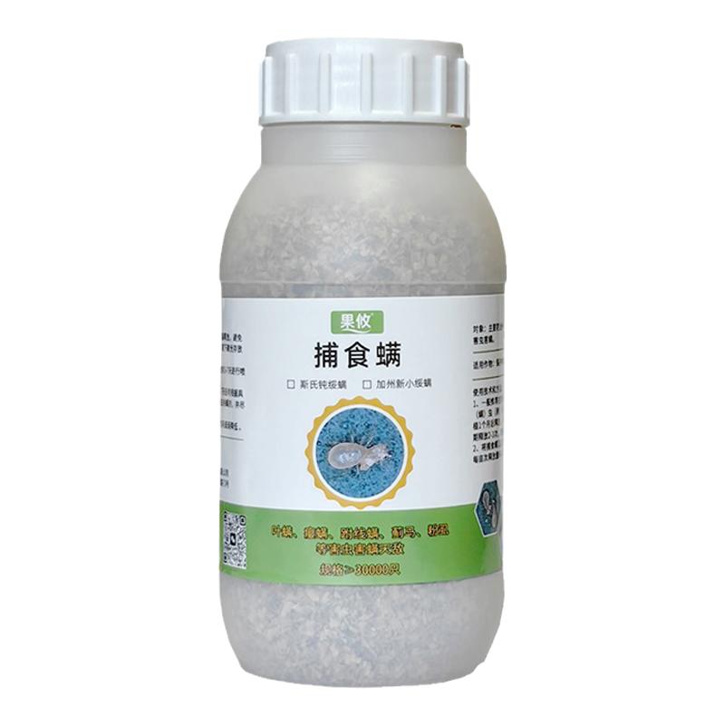 果攸捕食螨红蜘蛛天敌控制效果好