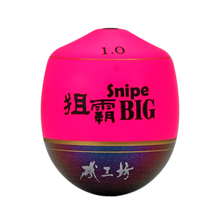 矶工坊ABS抗风浪狙霸浮钓漂中通高灵敏稳定性阿波漂防撞醒目浮波