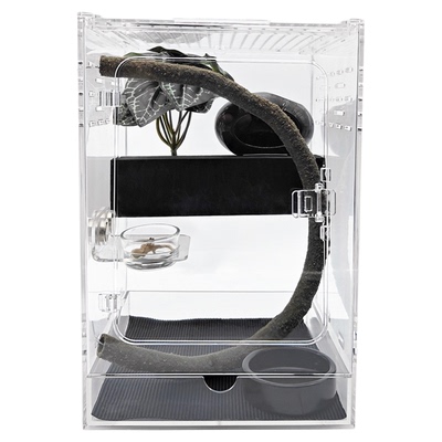 爬宠缸睫角守宫饲养盒造景亚克力