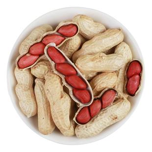 红皮生花生带壳晒干原味2025年新货种子铁锅炒熟东北四粒红花生米