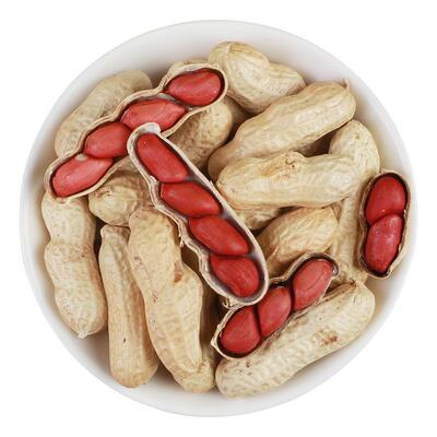 2024年东北四粒红带壳生花生