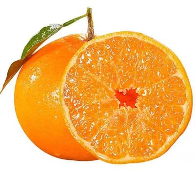 正宗四川春见耙耙柑10斤新鲜水果当季整箱丑八怪橘子特级粑粑柑桔