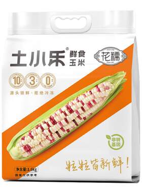 土小乐小花糯玉米非转基因