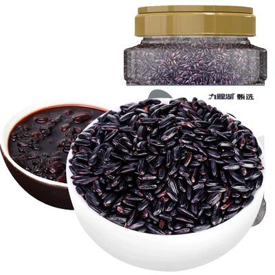 东北黑米新米颗粒饱满1kg罐装