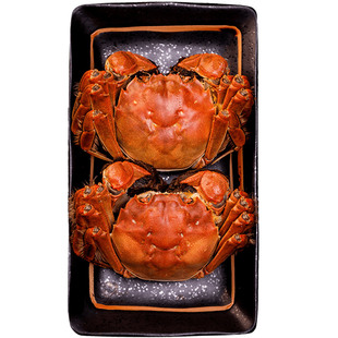 [活蟹]蟹王岛大闸蟹4.0两8只鲜活全公蟹小蟹农新鲜活螃蟹湖蟹河蟹