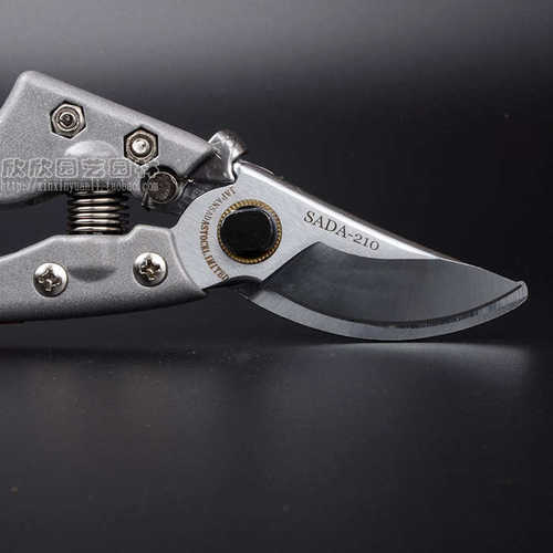 修枝剪 佐田进口花剪刀园艺修剪树枝果树剪子粗枝剪果修枝剪