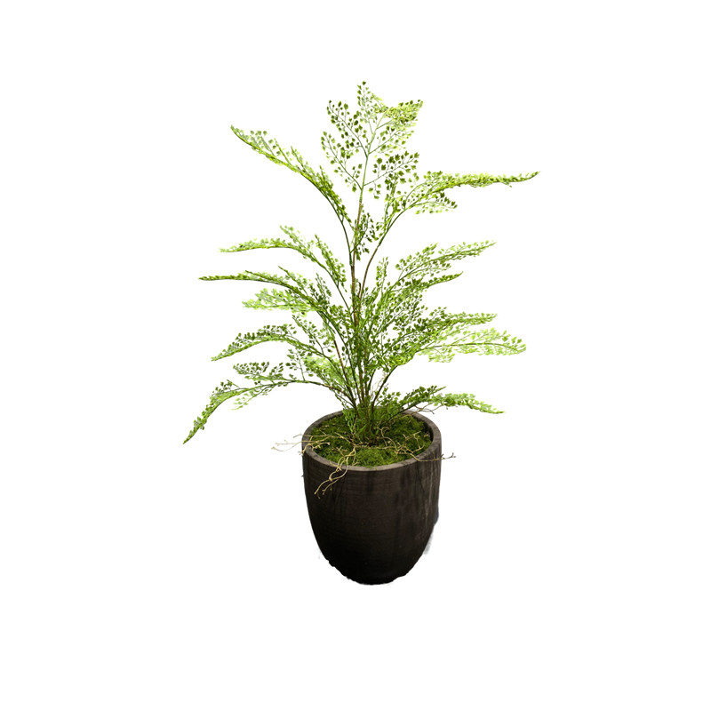花舍仿真小植物装饰室内造景假草田园微景观绿化花草蒲灌木丛
