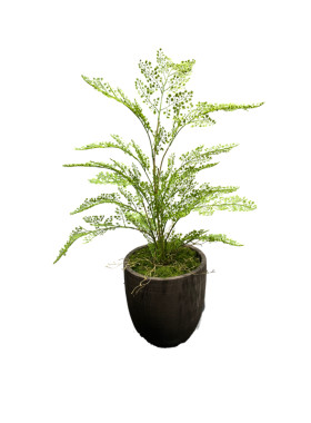花舍仿真小植物装饰室内造景假草