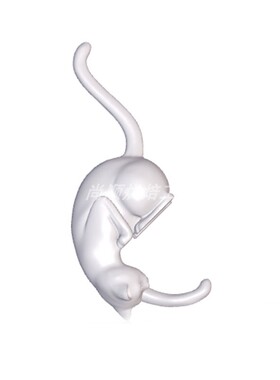 3D创意猫咪造型壁灯挂钩钥匙挂