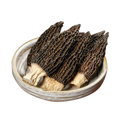 25年头茬羊肚菌新货云南特产羊肚菇高山菌菇类煲汤羊肚菌干货食材