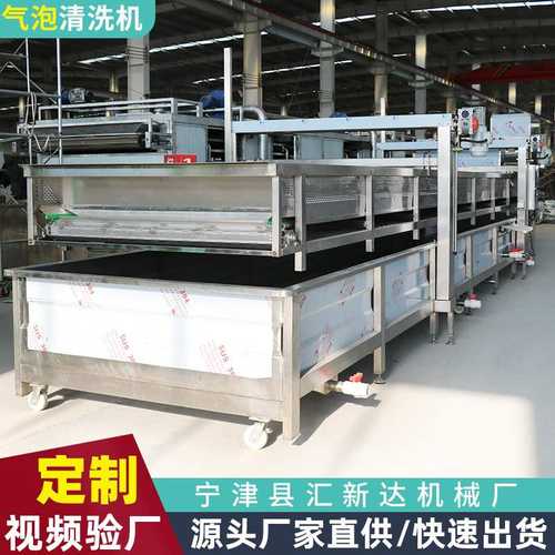 全自动大型洗菜机草莓快速清洗机果蔬食品加工流水线气泡清洗机