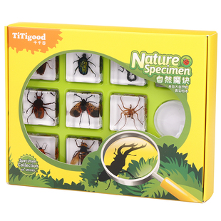 千千谷树脂标本小学生益智玩具科学认知小摆件儿童科教实验礼盒