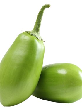 河南农家自种新鲜青茄子五斤包邮食用蔬菜绿茄子茄子圆茄子长茄