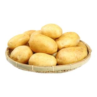 新鲜小土豆高山现挖农家自种粉面香应季小土豆迷你蔬菜洋芋产地发