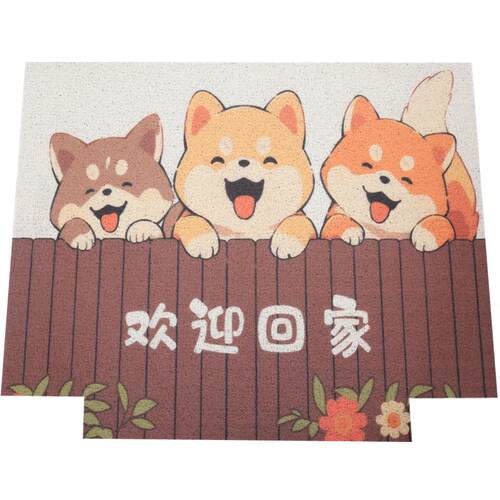 卡通入户门丝圈地垫门口防滑脚垫进门家用蹭土地毯玄关门垫可裁剪