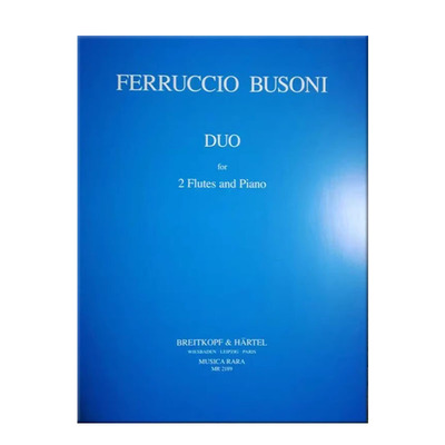 索尼小调二重奏长笛钢琴大熊