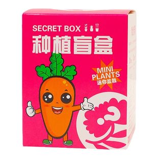 小学生开学季种植物盲盒伴手礼幼儿园儿童全班礼物义卖活动小商品