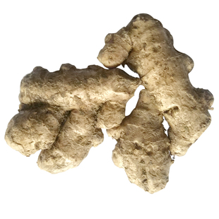 老姜铜陵生姜炒菜老姜新鲜大黄姜铜陵特产小姜干姜块