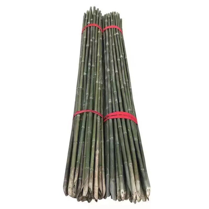 竹竿菜园搭架蔬菜黄瓜番茄豆角架杆竹篱笆栅栏小竹子细竹竿爬藤架