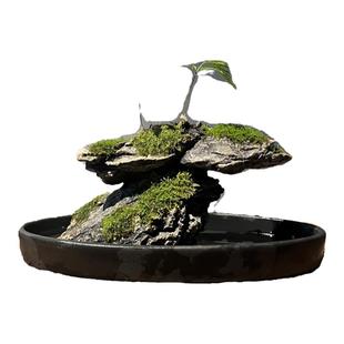 原石玉石天然造景吸水石假山微景观摆件盆栽绿植盆景室内好养