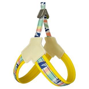 狗狗牵引绳背心式胸背带遛狗绳中小型犬柯基比熊泰迪防挣脱狗链子