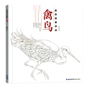 白描技法精解禽鸟 工笔画白描勾线画谱临摹绘画初学者入门到精通基础教程 国画写意草虫禽鸟工笔花鸟画白描底稿线描 福建美术