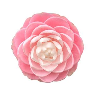 宫粉小桃红雨春乙女粉色山茶花盆栽带花苞室内阳台庭院花卉绿植物