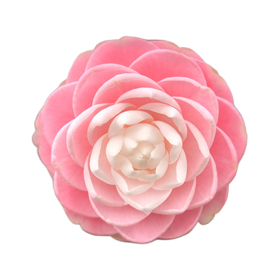 宫粉小桃红雨春乙女粉色山茶花盆栽带花苞室内阳台庭院花卉绿植物