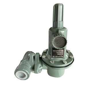 WF627DN15 25液化气汽化器调压阀稳压阀减压阀降压阀高压阀大流量