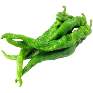 螺丝椒辣椒种子秧苗香辣特大巨型陇椒种籽春秋四季高产辣椒蔬菜孑