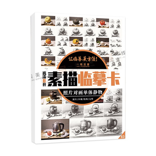 8开素描单体临摹卡照片对画单体静物从步骤到完整创意结构素描作品儿童素描画册临摹本基础美术书籍国美高考教程素描书入门教材
