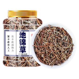 地锦草的功效与作用正品新鲜干货铺地红扑地锦非野生奶浆草中药材