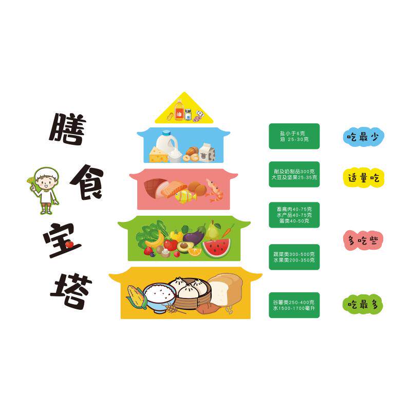 健康膳食谱宝塔图幼儿园墙面装饰小饭桌食堂文化养老院餐厅布置贴